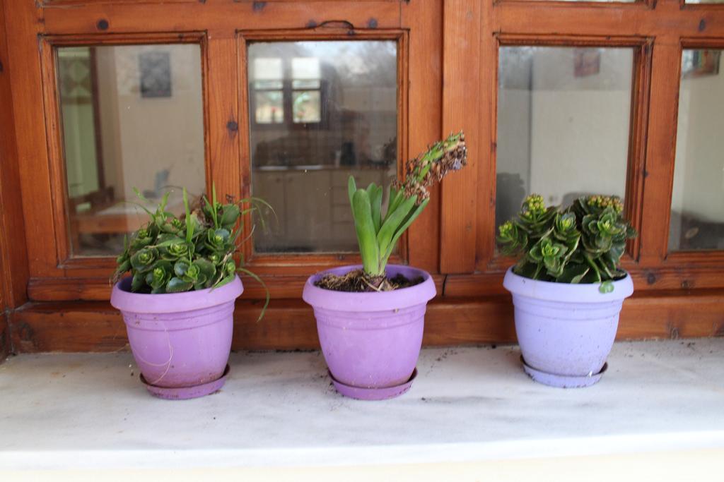 Felia Villa Stavrós 外观 照片